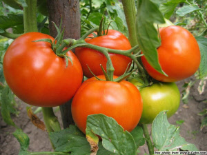 image01