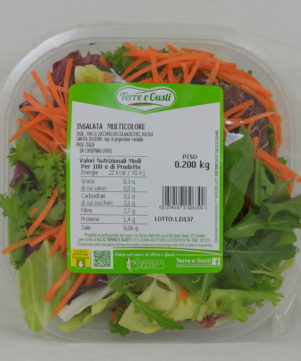 Insalata Multicolore
